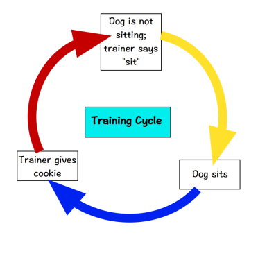 Loopy Training Graphic-1