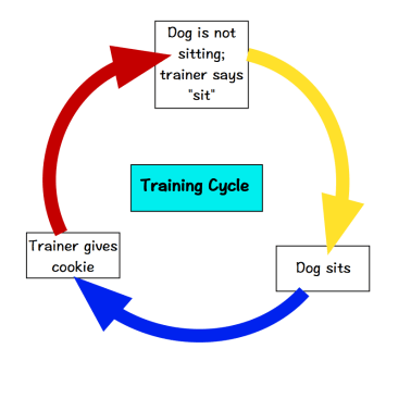 Loopy Training Graphic-1