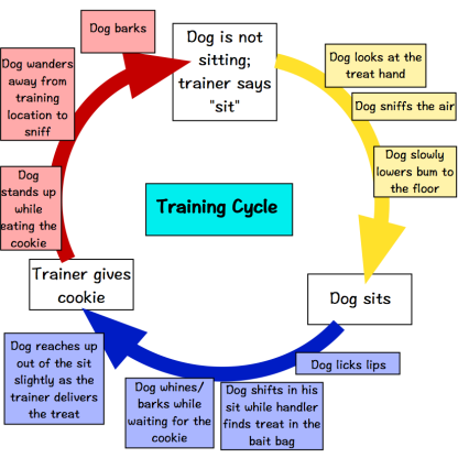 Loopy Training Graphic-1a