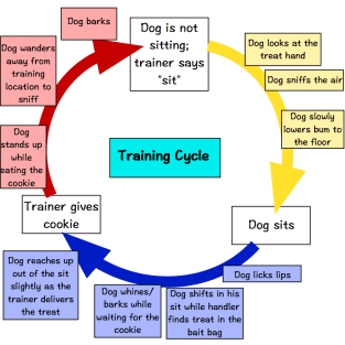Loopy Training Graphic-1a
